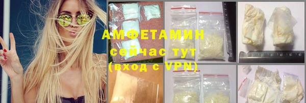 гашик Горняк