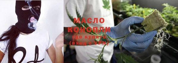 гашик Горняк