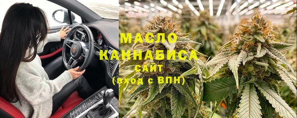 гашик Горняк