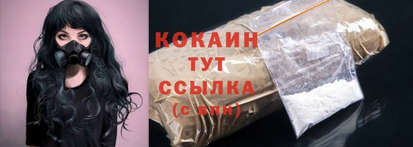 2c-b Горно-Алтайск