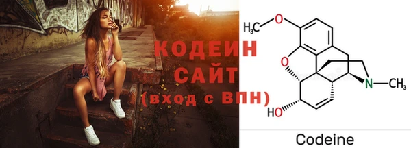 2c-b Горно-Алтайск