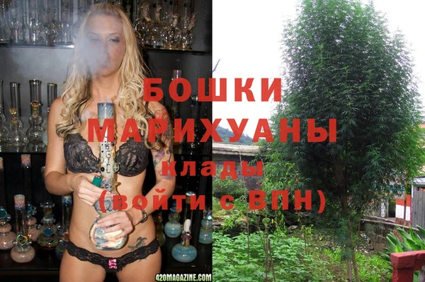 2c-b Горно-Алтайск