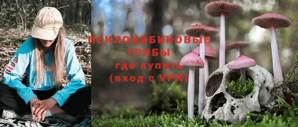 гашик Горняк
