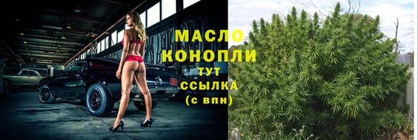гашик Горняк