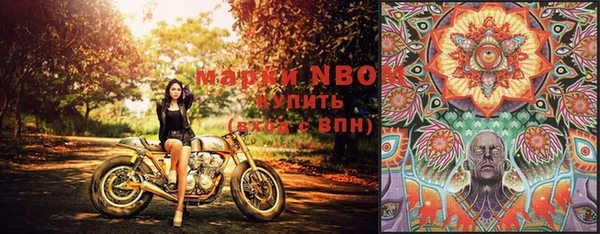 гашик Горняк