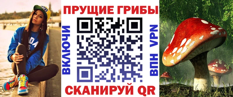 Галлюциногенные грибы Psilocybe  Красногорск 